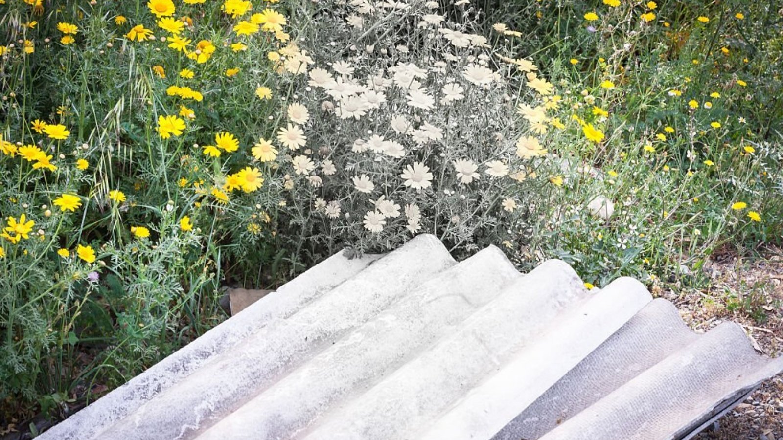 http://newleadsgen.com/2023/09/18/the-7-crucial-steps-for-selecting-an-expert-asbestos-abatement-company/
