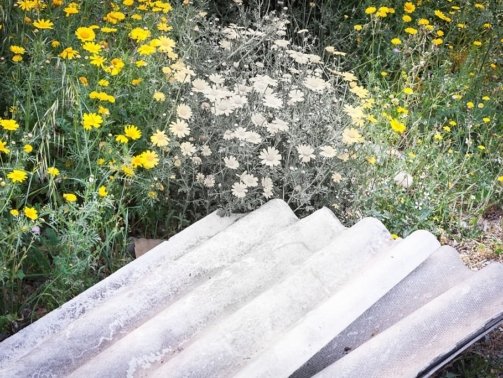 http://newleadsgen.com/2023/09/18/the-7-crucial-steps-for-selecting-an-expert-asbestos-abatement-company/