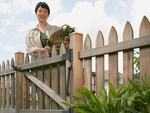 garden fence ideas