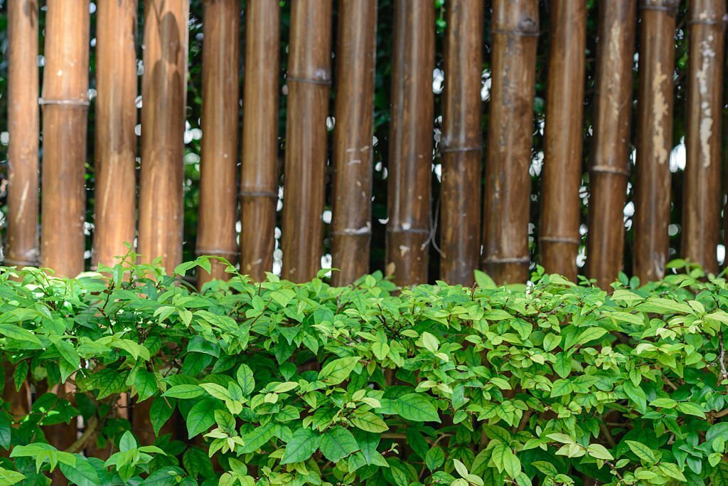 garden fencing ideas