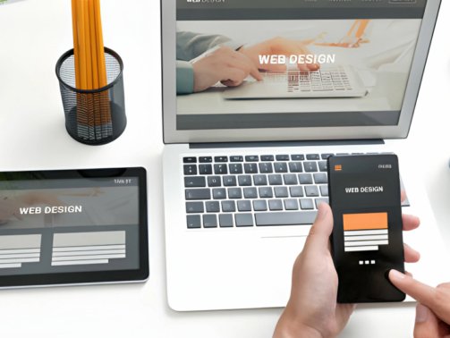 Web developer designs websites